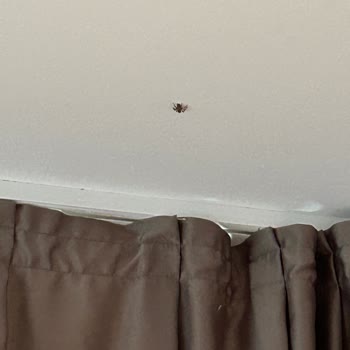 Karya Family Resort Hijyen Hiç Memnun Kalmadık