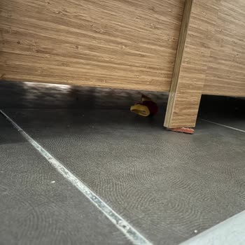 Karya Family Resort Hijyen Hiç Memnun Kalmadık