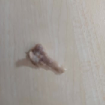 MR. No Dardanel Paketli Sandviç