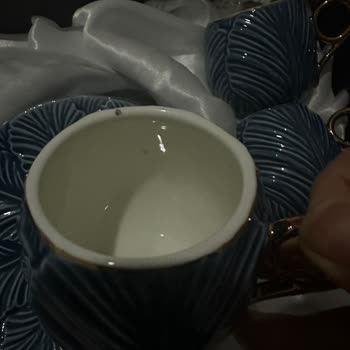 Schafer Personel Üslup Bozukluğu