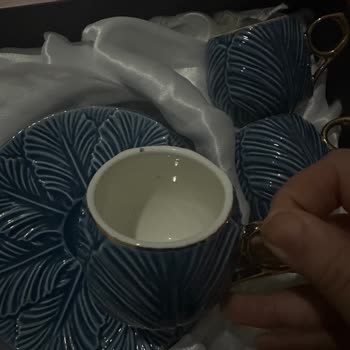 Schafer Personel Üslup Bozukluğu