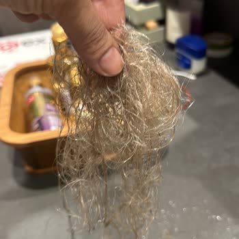 Filiz Yaldız Kaş Tasarım & Güzellik Kuaförde Yaşanan Sorunlar