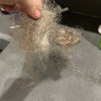 Filiz Yaldız Kaş Tasarım & Güzellik Kuaförde Yaşanan Sorunlar