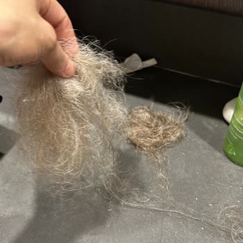 Filiz Yaldız Kaş Tasarım & Güzellik Kuaförde Yaşanan Sorunlar