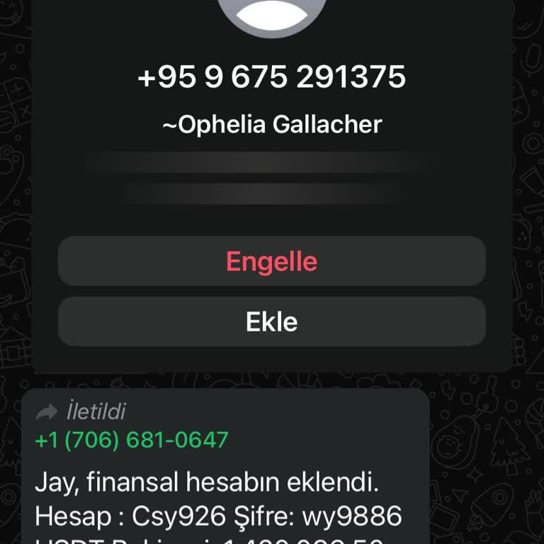 WhatsApp +95 Numara İstenmeyen Mesaj