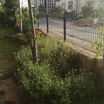 Zeray İnşaat Çayırova Meva Anadolu Sitesi Güvenlik Açığı