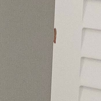 Butik İstanbul Mağduriyet Etmekten Başka Hiç Birleyen Yapmıyorsunuz