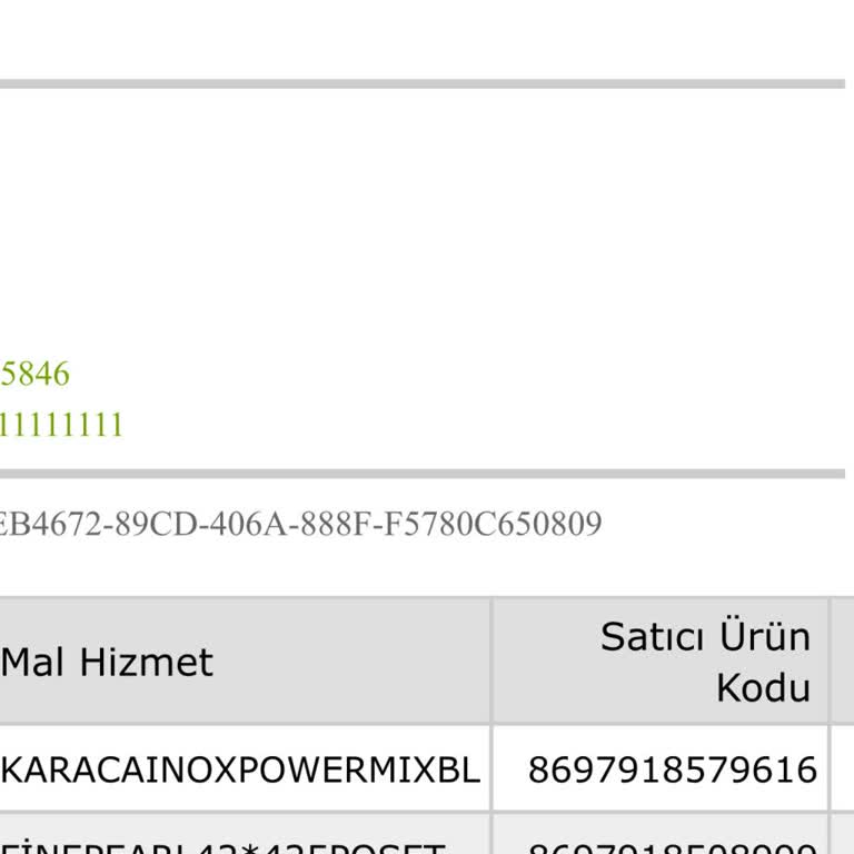 Karaca Blender Haznesi Çatladı: Yedek Parça Sorunu