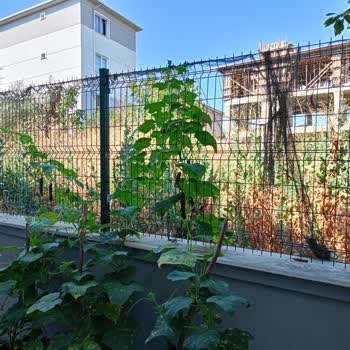 Tekirdağ Süleymanpaşa Belediyesi Otlarla Kaplı Alana Bir Çözüm!