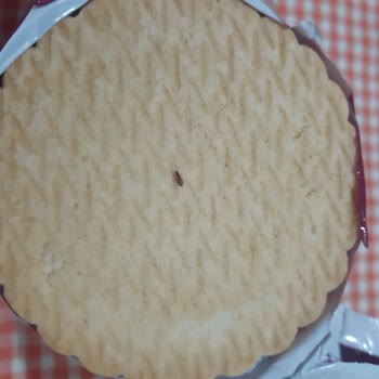 Eti Gıda Böcekli Eti Cin Faciası