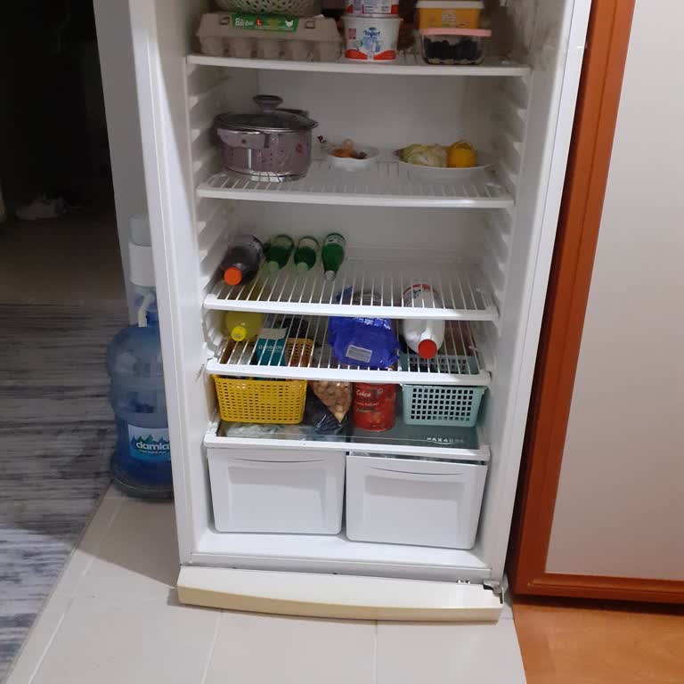 Regal Dolap Arızası Conta Ve Lastik Değişimi