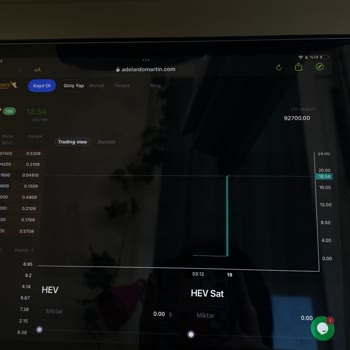 Adelardomartin Vatandaşı Aldatarak Üzerinden Haksız Kazanç Sağlayan Site