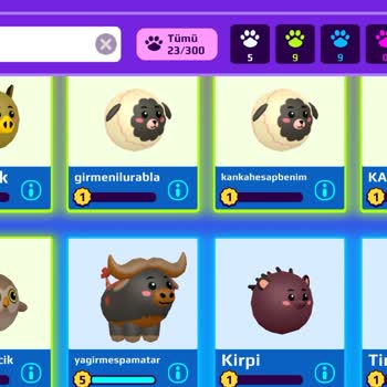 PK Xd (Playpkxd.com) Hesabım Çalındı