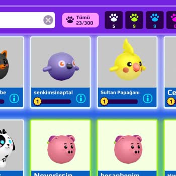 PK Xd (Playpkxd.com) Hesabım Çalındı