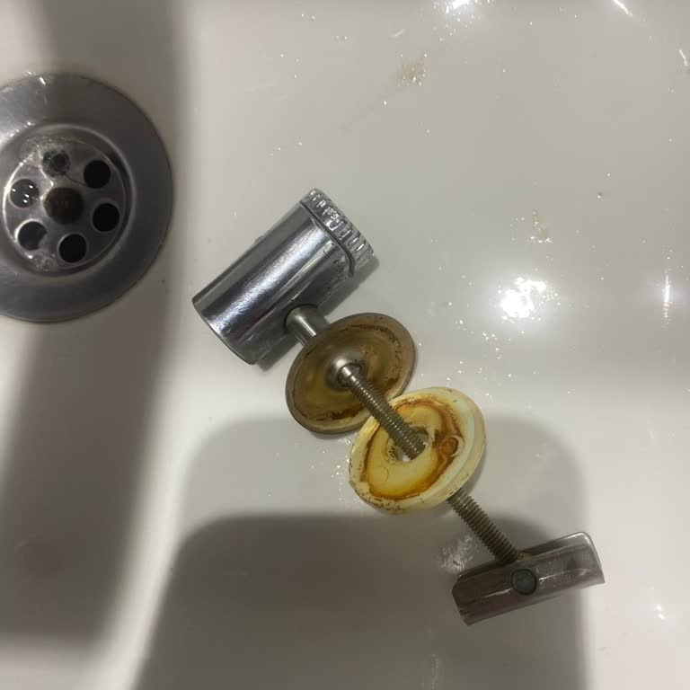 Newarc Klozet Kapak Menteşesi