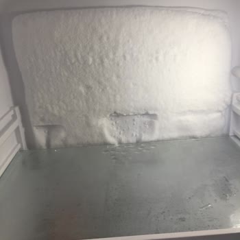 A101 Den Almış Olduğum SEG Marka Buzdolabından Şikayetçiyim.