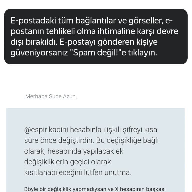 Twitter X Hesabına Başkasının Girmesi