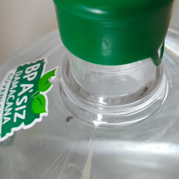 Getir Su Haşereleri Proteinli Su