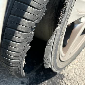 Lassa Green Wise Pişmanlıktır Lassa Değil Asla