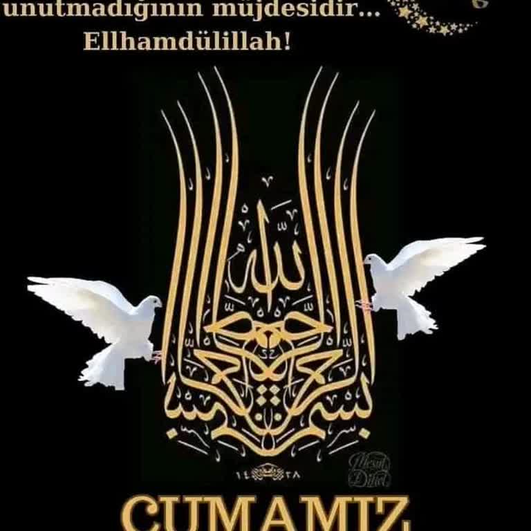 Bitay Paramı Hemen Hesabıma Aktarın Kardeşim.