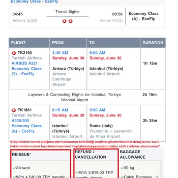 Turkish Airlines Buchungsprobleme, fehlende Gepäckinformationen und inkonsistenter Kundenservice
