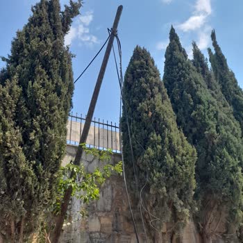 Türk Telekom Bodrum Küçükbük Mahallesinin Bir Kısmında Sekiz Aydır İnternet Kesik