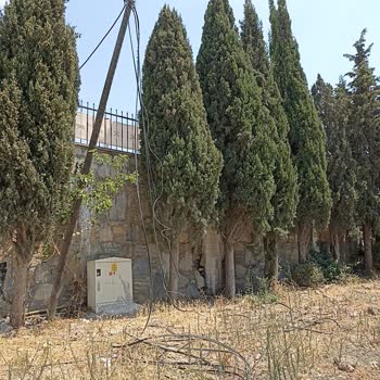 Türk Telekom Bodrum Küçükbük Mahallesinin Bir Kısmında Sekiz Aydır İnternet Kesik