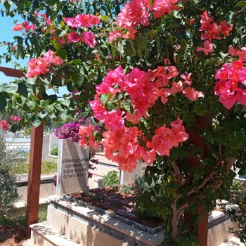 Antalya Büyükşehir Belediyesi Mezarlıklardan Ne İstediniz