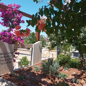 Antalya Büyükşehir Belediyesi Mezarlıklardan Ne İstediniz