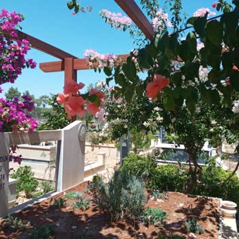 Antalya Büyükşehir Belediyesi Mezarlıklardan Ne İstediniz