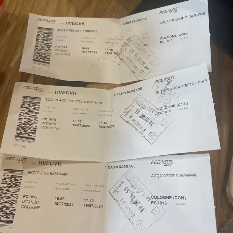 Pegasus Fazla Bagaj Parası