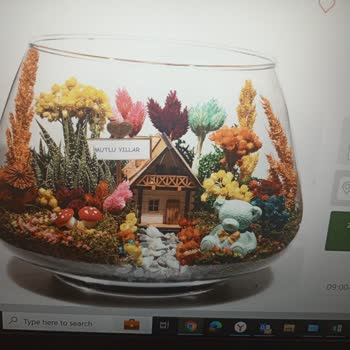 Salonbitkileri.com Teraryum Siparişim Beklentilerimi Karşılamadı