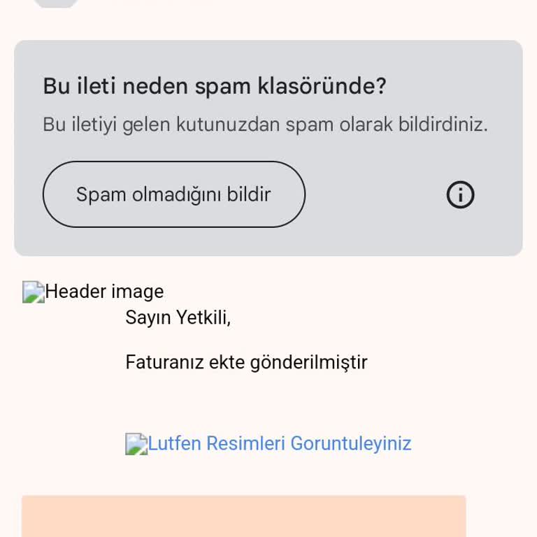 Sovos Firmasından Adıma Mail Geldi