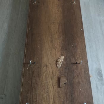 Evida Kabus Yaşatır İnsana