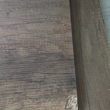 Evida Kabus Yaşatır İnsana