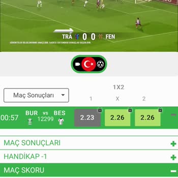 Milli Piyango Uygulaması Sanal Oyun İkramiye Kazancı