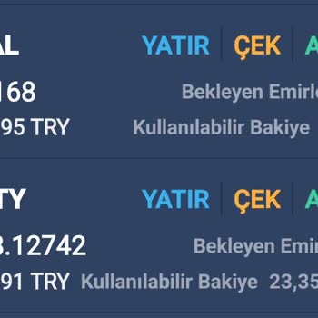 Bitexen Fiyat Uyuşmazlığı Paraya Çökme