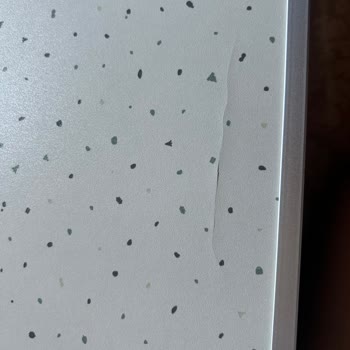 Decathlon Masa Sandalye Mağduriyeti