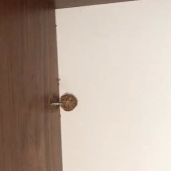 Yeni Yuvam Evden Eve Nakliyat Eşyalarımızı Küçük Araçla Taşıyıp Deforme Ettiler