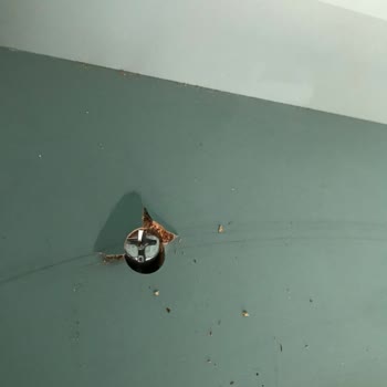 Yeni Yuvam Evden Eve Nakliyat Eşyalarımızı Küçük Araçla Taşıyıp Deforme Ettiler