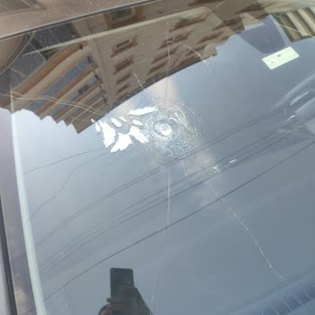 Ray Sigorta Olumsuz Dosya Kapatma