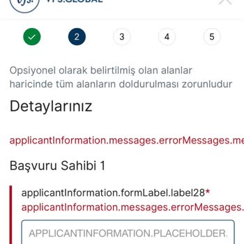 VFS Global Danimarka Randevu Ekranı Zorunlu Alan Hatası