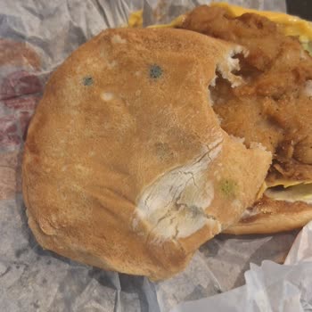 Burger King Küflü Ekmek Burger