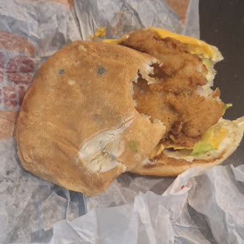 Burger King Küflü Ekmek Burger