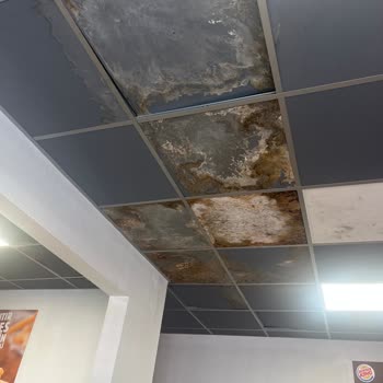 Burger King Hamburger Ekmekleri Küflenmiş Turşular Kokuyor