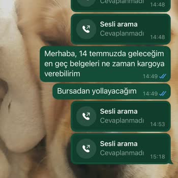 Tilos Travel Hayatımda Gördüğüm En Kötü Firma.