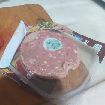 Namet Küflü Bozuk Salam