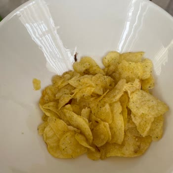 Lays Markalı Üründe Böcek Şoku: Denetimsizlik İhmalkarlığı