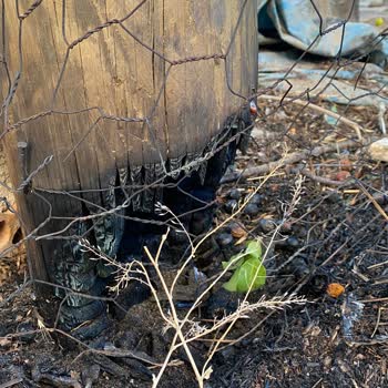 ÇEDAŞ Acil Durumda Yetersiz Hizmet Ve İhmal