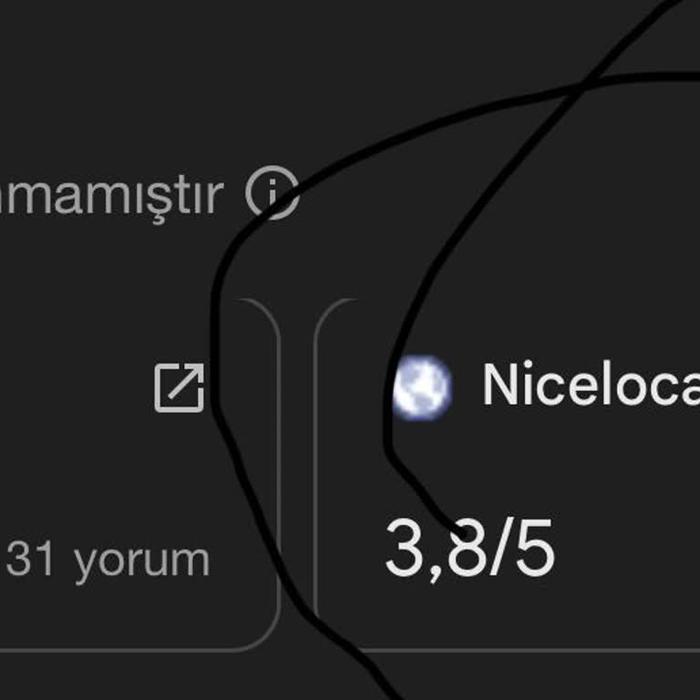 Nicelocal.biz.tr İşletmeme İzinsiz Bir Şekilde Bir Site Eklenmiş